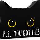 You Got This Funny office Acrylic Decor Sign Black Cat Decor Home Cat Decor for Home office Cat Lover Gifts For Women Men