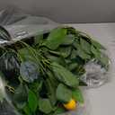 HEOMU 6FT Faux Lemon Tree with Vivid Leaves and Realistic Lemons, Fake Lemon Tree with Pot, Artificial Trees for Indoor Outdoor Front Porch Living Room Office Home Decor