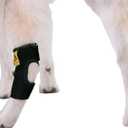 Agon Dog Leg Braces For Back Leg wrap hock compression protects wounds and helps heal hind legs rear ankle joint, preventing injuries, sprains providing stability for dogs, canines arthritis (Medium)