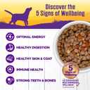 Wellness Complete Health Stew Adult Canned Wet Dog Food, Grain Free, Natural, Beef Recipe, 12.5 oz, Pack of 12 Cans (EXP 07/18/29)