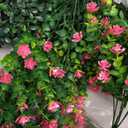 Artificial Hanging Flowers Basket, 12 UV-Resistant Bundles of Realistic Fake Flowers, Faux Plants for Outdoor Decor, Home, Garden, Porch, Patio, Spring & Summer Decorations, Blue