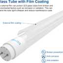 T8 LED Bulbs 4 Foot 18W, Film Coating Glass Tube, 6000K 10 Pack