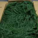 2 Pcs 6 Ft Norfolk Pine Garland, Artificial Dense Christmas Garland Ornaments, Real Touch Greenery Garland for Fireplace, Stairs, Table, Mantle, Wall, Indoor, Outdoor Christmas Decorations