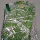 LaVenty Dinosaur Monthly Photo Banner Dinosaur 12 Month Banner First Birthday Party Decoration