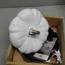 STAUB Cast Iron Dutch Oven 3.5-qt Pumpkin Cocotte with Stainless Steel Knob, Made in France, Serves 3-4, White