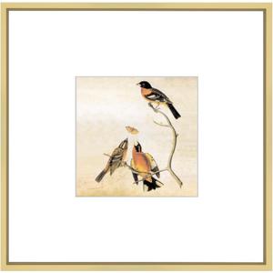 8x8 Picture Frame, Brass Metal Square Photo Frames with HD Glass, Fits 5x5 with Mat or 8 x 8 without Mat, Display for Wall and Table, 1 Pack