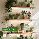 T5 Grow Lights, 2FT 120W (815W, 1000W Equivalent), Full Spectrum Grow Lights for Indoor Plants, 4000K, Plug and Play, Easy to Install, for Greenhouse & Plant Shelves (8 Pack)