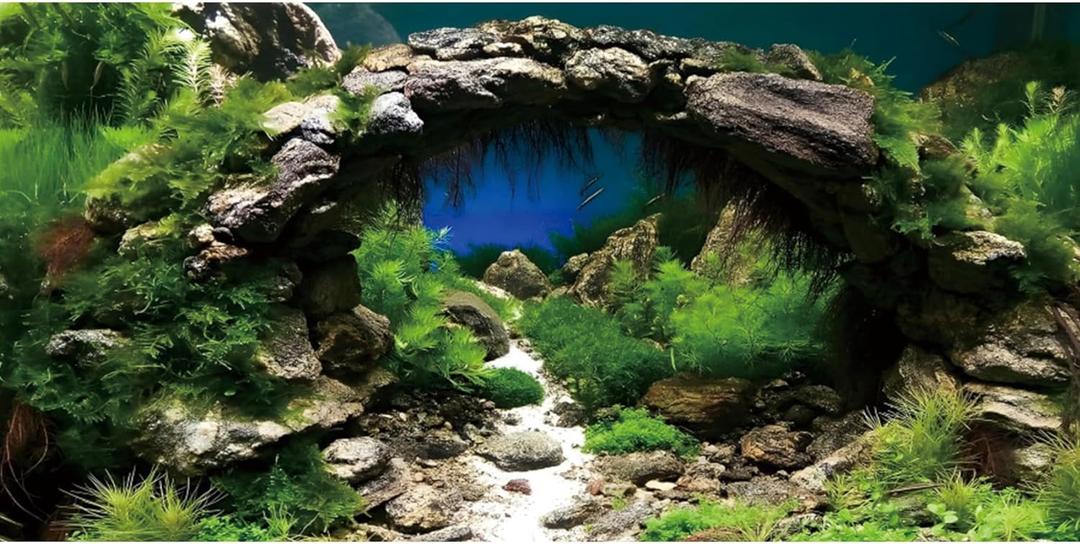 AWERT 72x24 inches Arch Stone Aquarium Background River Bed & Lake Aquarium Vinyl Background Aquatic Plant Fish Tank Background