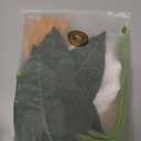 SNAIL GARDEN 14 Big Heads Artificial Calla Lilies with Green Leaves,Realistic Purple Latex Calla Lilies with Removable Flower Heads,Real Touch Artificial Lily Flower for Home Wedding Office Decoration