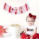Ladybug High Chair Banner - Our Little Love Bug 1st Birthday Decorations, Ladybug with Daisy First Birthday Highchair Banner, Our Little Ladybug Is Turning One Party Decor