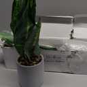 Der Rose 2 Pack Fake Plants Artificial Tropical Faux Plants Indoor for Office Desk Home Sage Green Decor