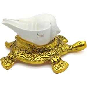 Natural shankh Conch Shell with Golden Turtle Stand for Pooja, Home Decor