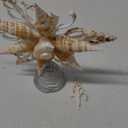 Demissle Coastal Beach Christmas Tree Topper 8 Inch Natural Starfish Tree Topper Conch Star Flower Treetop Decoration Christmas Holiday Decoration for Sea Beach Themed Xmas Home Decor