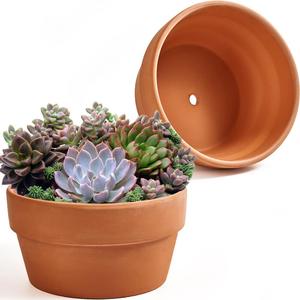 8 Inch Shallow Terracotta Pot for Succulent  2 Pcs Large Clay Planter Pots with Drainage Hole, Shallow Plant Pottery Pots for Cactus Succulent and Other Indoor Outdoor Plants