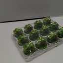 12 Pieces Shamrocks Tealight Candles Decorations Handmade Delicate Clover Candles for St. Patrick Party Day Home Decoration Gifts.(for Birthday Party ,Wedding, Spa, Home Decor)