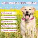 Martingale Collar for Dogs,Reflective Martingale Dog Collars with Quick Release Buckle,Adjustable Nylon No Pull Dog Collar for Walking Training (Red, Extra Large) (Medium)