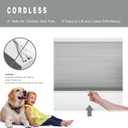 Changshade Cordless Cellular Shades, Light Filtering Honeycomb Blinds for Indoor Windows Bedroom, Pull Down Pleated Accordion Blind Easy Install, Shade Size 25" Wx50 H, Gray