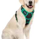 rabbitgoo Dog Harness No Pull with 2 Leash Clips, Adjustable Soft Padded, Reflective Oxford No Choke Pet Vest with Easy Control Handle for Large Dogs, Black & Turquoise, XL
