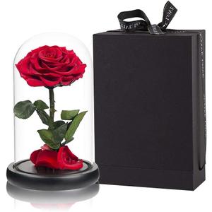 Red Roses Handmade Rose in Glass Dome, Preserved Flowers Never Withered Romantic Gifts for Her, Mother's Day, Birthday Gifts for Women