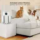 Shark Air Purifier for Home, NeverChange, for Large Room, Bedroom, Home Office, HEPA-Exceeding Filter, Captures Pollutants, Pet Dander, Dust, Odor, Smoke, and More, HP153, White