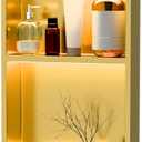 24 x 12 Inch LED Light Shower Niche Stainless Steel Niche No Tile Needed with Light Double Layer Recessed Wall Niche Insert Shower Niche Shower for Bathroom Storage(Gold)
