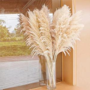 DRIED FLOWERS, REEDS, AND GRASSES BOUQUET, SUITABLE FOR HOME DECORATION, WEDDING CENTER DECORATION, AUTUMN FLOWER ARRANGEMENT (LUXURY 40-INCH 10-STEM NATURAL PAMPAS GRASS).