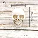 6 x Table Card HolderPlace Card Holders, Table Number HolderPhoto Holders, Party Favors, Wedding Decorations (White,Skull)