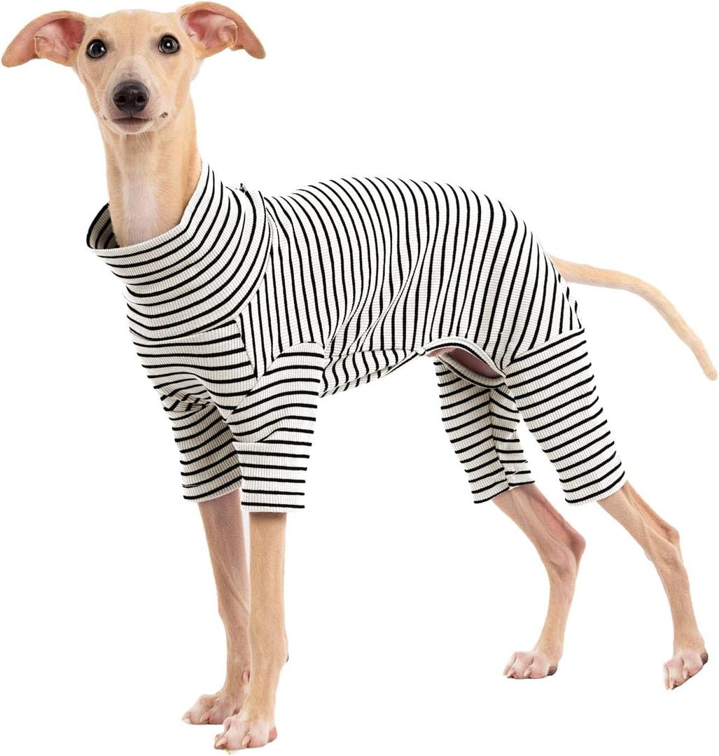 Dog Sweaters for Small Dogs Girls Boys, Striped Pet Sweaters for Fall Winter Dog Clothes, Turtleneck Pullover Knitwear for Small Medium Large Dogs (White)