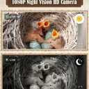 Bird House with Camera, 1080p HD Bird Houses for Outside with Nest Auto Capture Photo & Video, Smart Bird House with Camera Solar Powered 2.4G WiFi & App Notify in Real Time Dark Color (Dark, Normal)