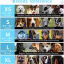 Dog Muzzle, Soft Mesh Covered Muzzles for Small, Medium, Large and X-Large Dogs, Muzzle with Adjustable Straps, Prevent Barking, Biting, and Accidental Ingestion (Black, X-Small)