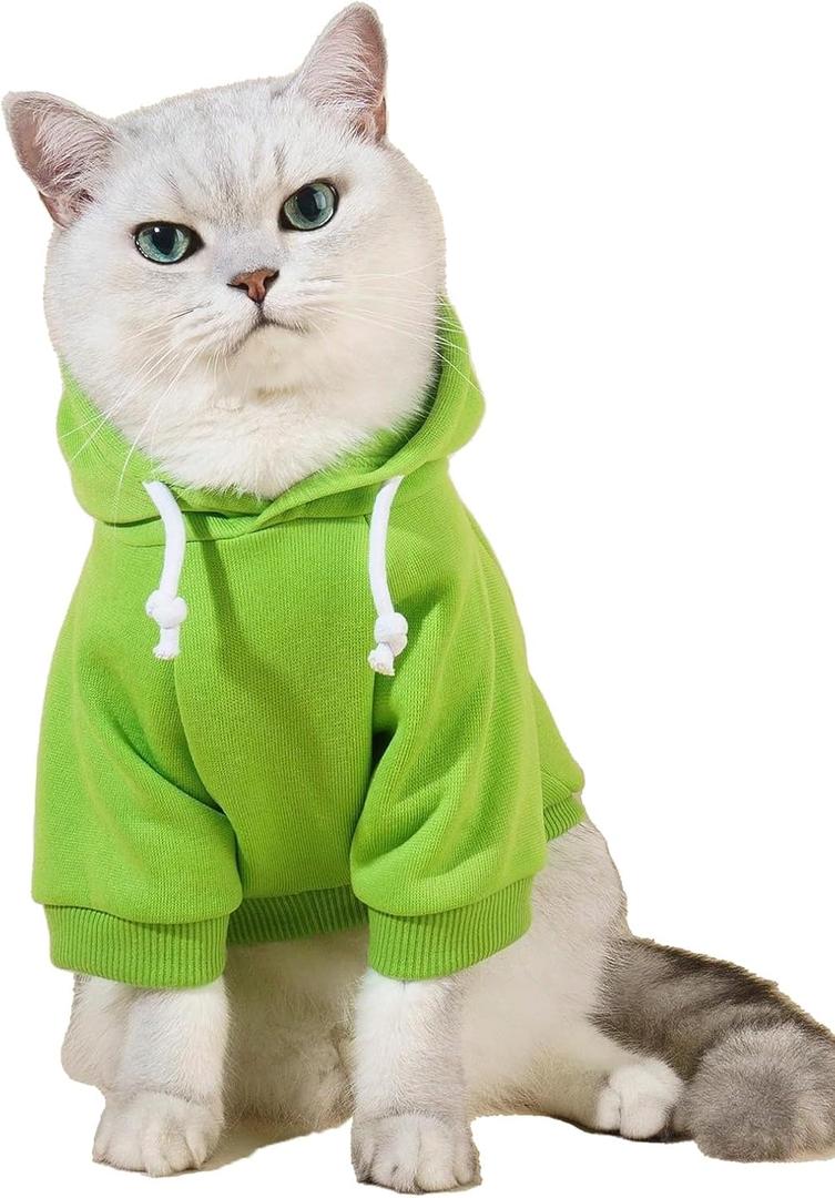 QWINEE Basic Dog Hoodie Sweatshirt Puppy Sweater Warm Cat Costumes Pet Clothes for Chihuahua Puppy Kitten Small Dogs, Green