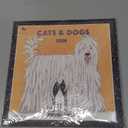 NIQUEA.D, Cats and Dogs 2026 Wall Calendar