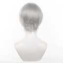 Anime Yu Narukami Wig Gray Bowl-shaped Short Straight Party Hair Halloween Cosplay Props Accessory