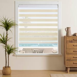 JIANGPIN TEXTILE Cordless Zebra Blinds for Indoor Windows Free-Stop Zebra Shades Dual Layer Light Filtering Sheer Shades Roller Window Blinds for Home (32" W X 72" H, Cream)