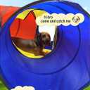 Dog Agility Tunnel for Small & Medium Dogs and Puppies – Durable Oxford Fabric, Pop-Up Exercise & Training Toy for Indoor Outdoor Play, Interactive Pet Tunnel with Storage Bag