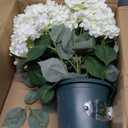Artificial Hydrangea Bush 20 Inch Potted Faux Hydrangea Plant, UV Resistant Outdoor Hydrangea Artificial Plants for Front Porch, Garden, Patio & Indoor Decor