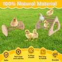 2Pack Wood Chick Perch Stand with Rope, Larbeti Chick Roosting Bar for Brooder with Holes Coop Chicken Jungle Gym Wooden Chicken Training Perch Stand Toy for Poultry, Bird, Parrot, Pigeon
