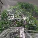 Artificial Eucalyptus Topiary Ball Trees for Outdoor Set of 2 Fake Plant Bushes with Ground Spike UV Resistant Faux Shrubs for Garden Front Porch, Green