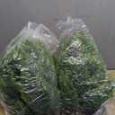 26.5" Artificial Cedar Topiary Ball Trees, Set of 2 UV Resistant Fake Evergreen Trees Shrubs Bushes Artificial Plants with Ground Spike Faux Cypress Plants for Indoor Outdoor Front Porch Garden