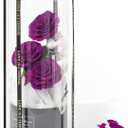 Flowers Forever Roses in A Box, 3 Real Roses with Stems and Bear, Eternal Rose Gifts for Her,Birthday Gifts for Women, Mom,Girlfriend,Grandma,Daughter,Purple