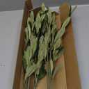 Waipfaru Faux Olive Branches for Vases, Olive Tree Branches with Lifelike Olives, Artificial Greenery Stems Decor for Centerpieces Floral Arrangements Vases (3Pcs, 18 Inch)