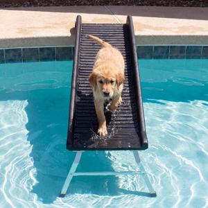 61 Inch Dog Pool Ramp Foldable Non-Slip Dog Ramp for Pool with 20 Inch Support Legs for 200lbs Capacity Fits Above Ground or Inground Pools
