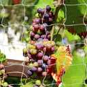 Tcamp Trellis Netting for Plants (5Ft x30Ft, 3.5" Square Mesh Ployester, 2Pack)