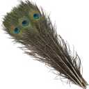Natural Peacock Feathers 16-18Inch for Home Decor Flower Arrangement Centerpieces Vases Decorations Costumes Hats Crafts Christmas Tree Ornament, 10Pcs 