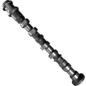 5184377AG Left Side Exhaust Camshaft 3.6L for Jeep/Dodge/Chrysler/Ram 3.6L V6 Models, 5184377AD 5184377AE 5184377AF 5184377AH