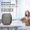 Portable Wireless Speaker, BT5.3, IPX6 Waterproof,Stereo Sound, RGB Lights,TWS Pairing,TF-Card in, for Home Theater, Party,Outdoor Travel (Gray)