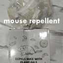 Mouse Repellent Pouches, 10 Pack Peppermint Oil Rodent Mice Deterrent for Indoor Outdoor, Natural Repellent Keep Squirrel Spider Pests Repel Rats, Safe for Pets & Family
