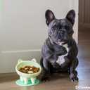 Ceramic Slow Feeder Bowl, Elevated CAT & Dog Slow Feeder, Wide-Mouth, PAW Design, Stylish Design, for Fast Eaters, Non Slip, Pets, Small & Medium Sized Breeds, (Green)