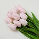 10Pcs Blush Artificial Tulips Silk Flowers, Long Stem and Green Leaves, Fake Flowers Decoration for Vase, Wedding, Party, Kitchen, Office, Home, Bedroom, Table Centerpiece Decor (Light Pink)