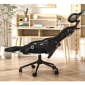 Ergonomic Office Chair - Adjustable Lumbar & Headrest, 90-160° Reclining with Footrest, Breathable Mesh Back - Home Office/Gaming Computer Chair